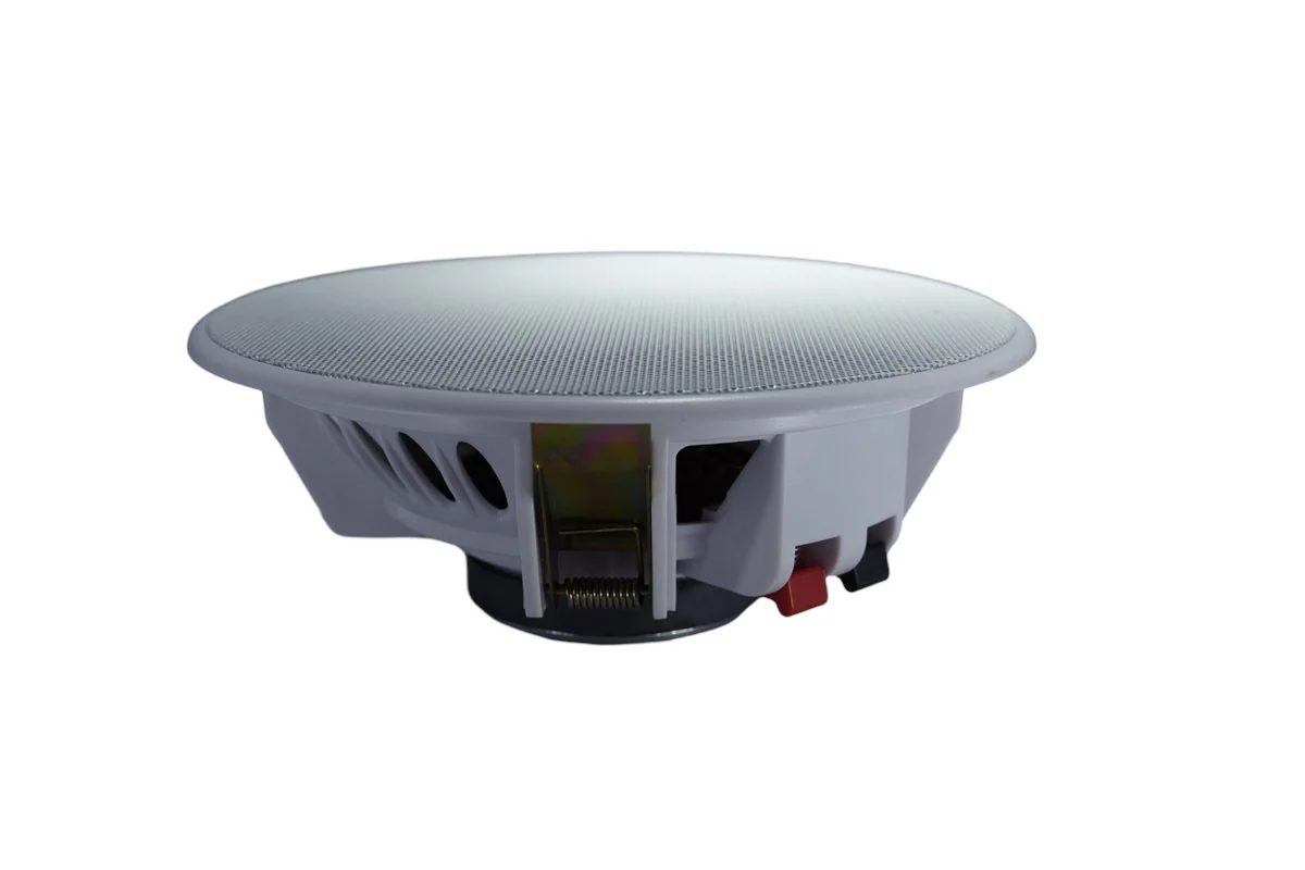 Hotel Ceiling Background Speaker