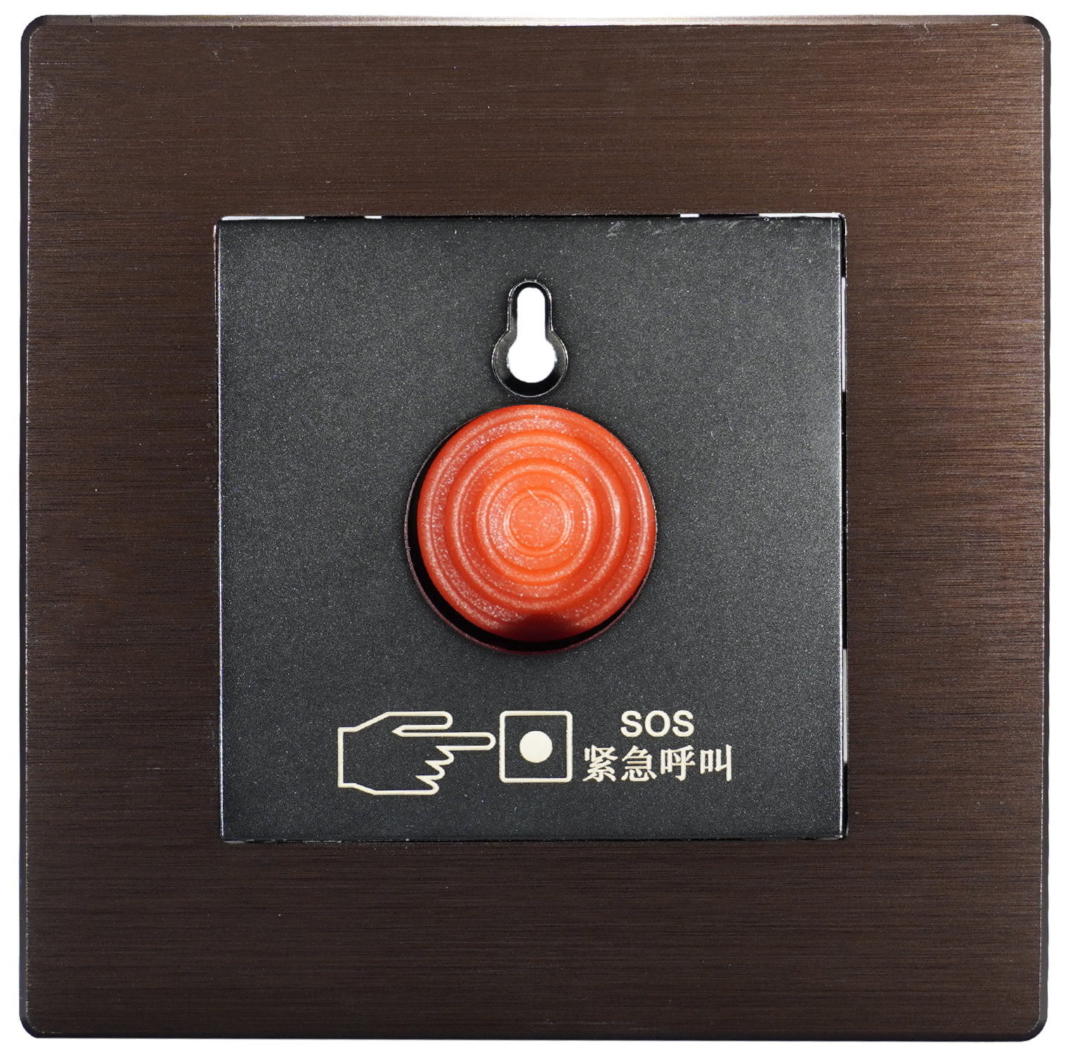 Brushed aluminum SOS alarm panel front view